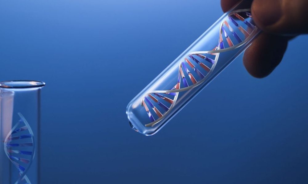 What is Genetic Testing &#038; Why is it Done?