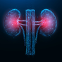 nephrology