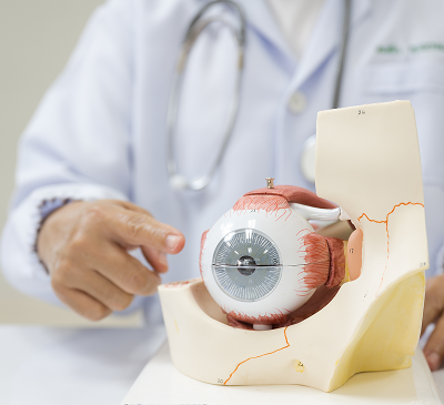 Excellence in Eye Care