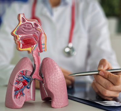 Pulmonology & Respiratory Medicine