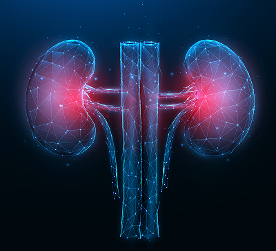 nephrology.png